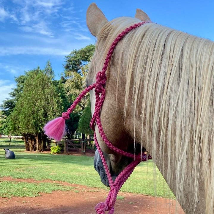 4x sem juros Cabresto trançado Rosa pink