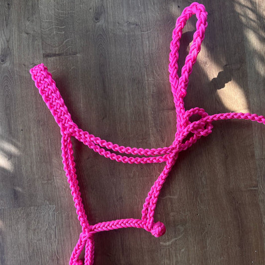 4x sem juros Cabresto trançado Rosa pink