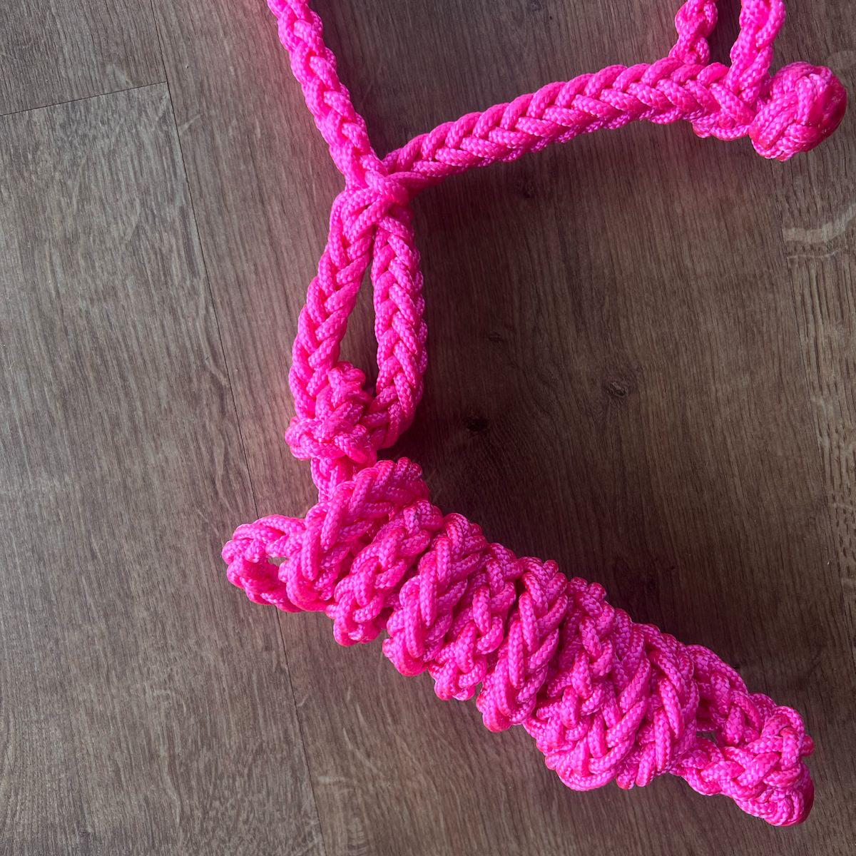 4x sem juros Cabresto trançado Rosa pink
