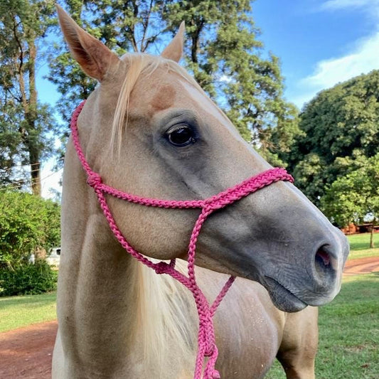 4x sem juros Cabresto trançado Rosa pink